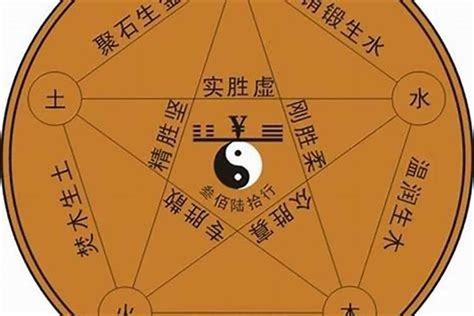 姿五行|姿字五行属什么